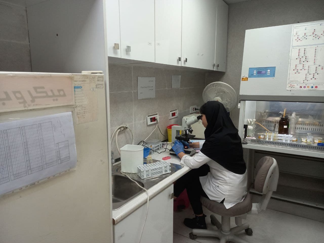 Laboratorio de Patobiología Hedayat-e No - 7