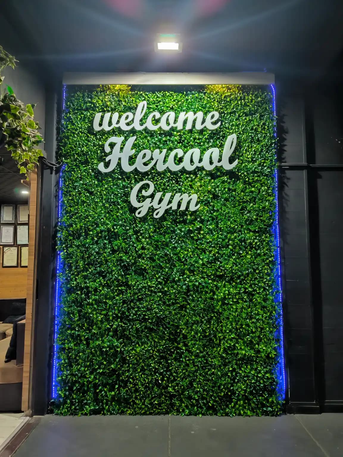 Herkül Spor Salonu - 2